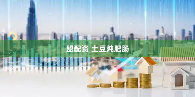 盟配资 土豆炖肥肠